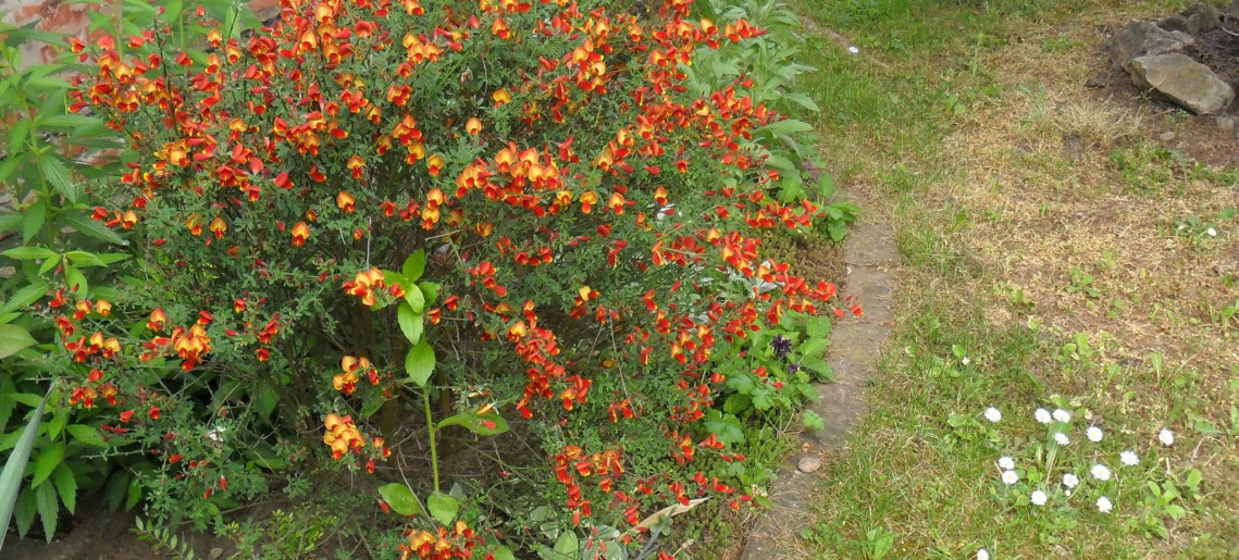 Fortuna Apartman Gyula - 4