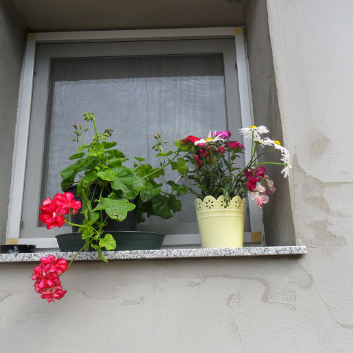 Fortuna Apartman Gyula - 5