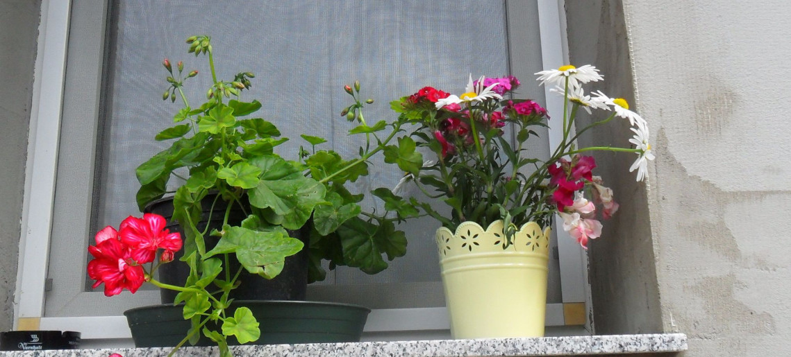 Fortuna Apartman Gyula - 5