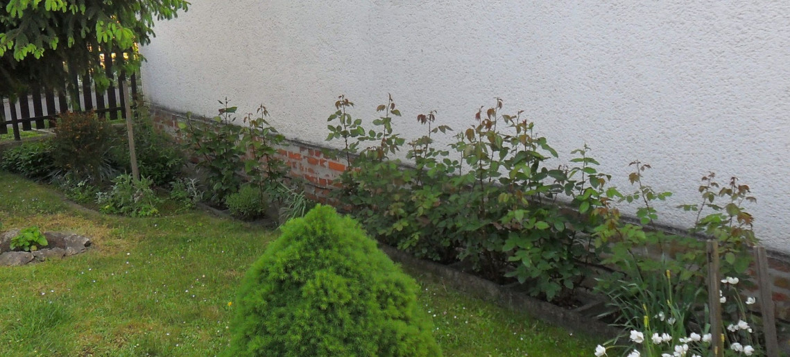 Fortuna Apartman Gyula - 7