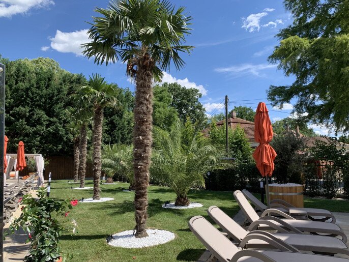 Wellness Hotel Gyula - 13