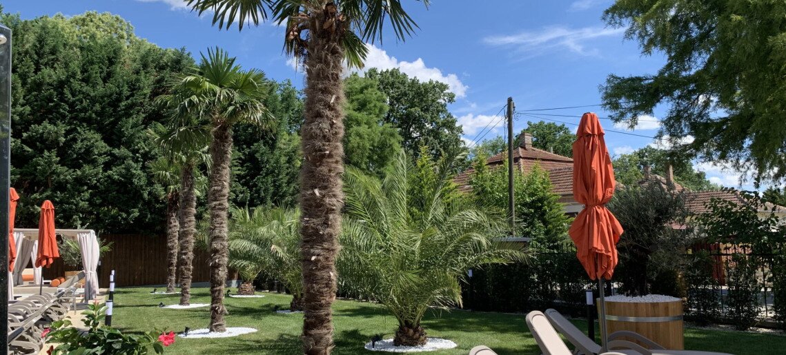 Wellness Hotel Gyula - 16