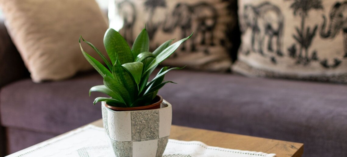 Harmónia Gyulai Apartman - 6