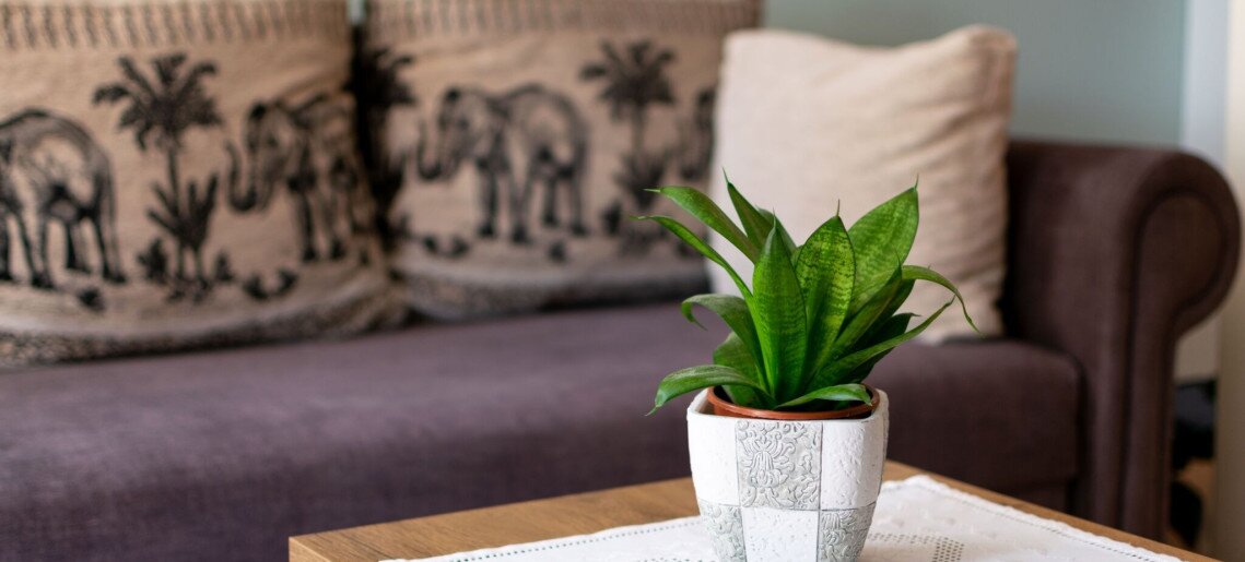 Harmónia Gyulai Apartman - 7