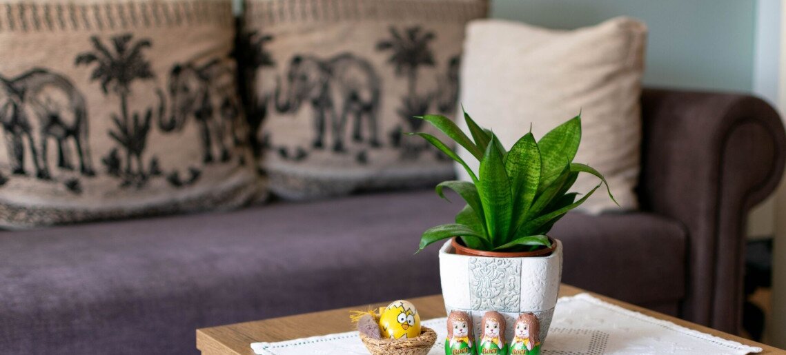 Harmónia Gyulai Apartman - 9