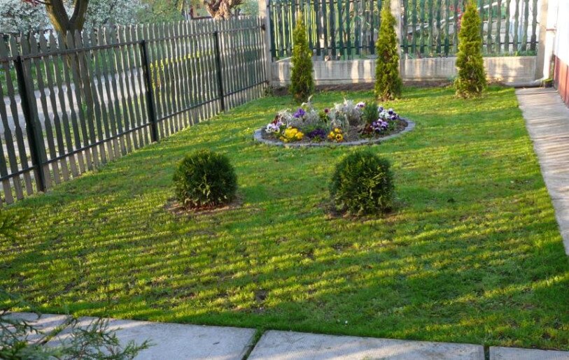 Cseresznye Apartman Gyula - 13