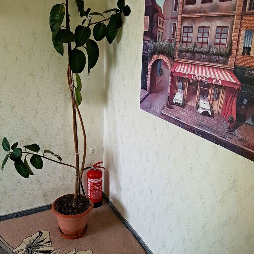 Kastélykert Apartman Gyula - 15