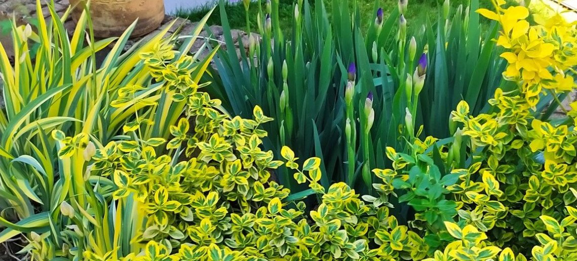 Végvár Spa Apartman Gyula - 37