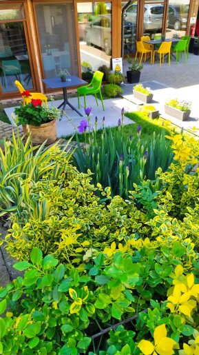 Végvár Spa Apartman Gyula - 37