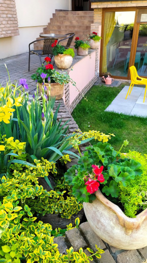 Végvár Spa Apartman Gyula - 38