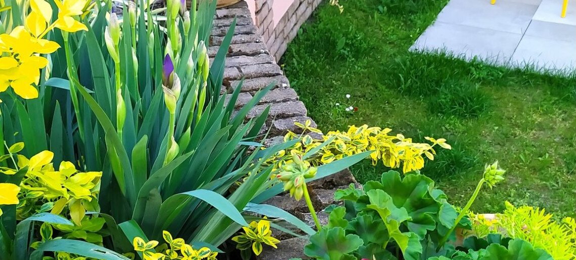 Végvár Spa Apartman Gyula - 38