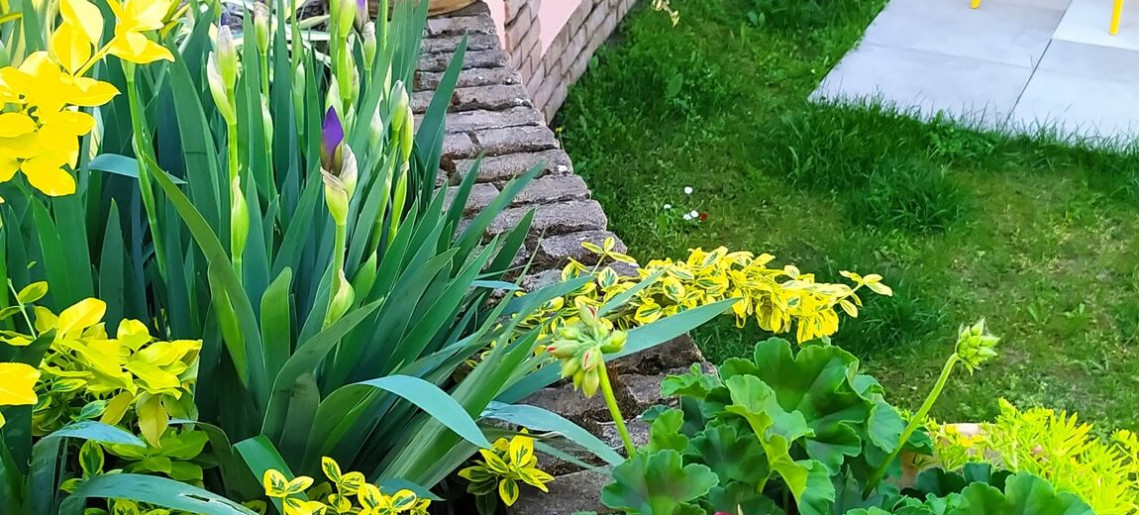 Végvár Spa Apartman Gyula - 38