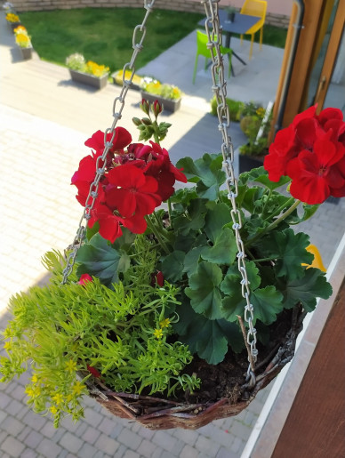 Végvár Spa Apartman Gyula - 39