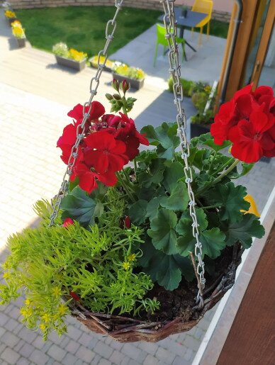 Végvár Spa Apartman Gyula - 39