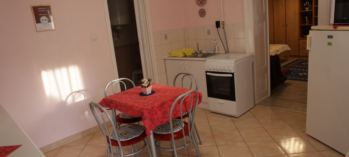 Ildikó Apartman Gyula - 11