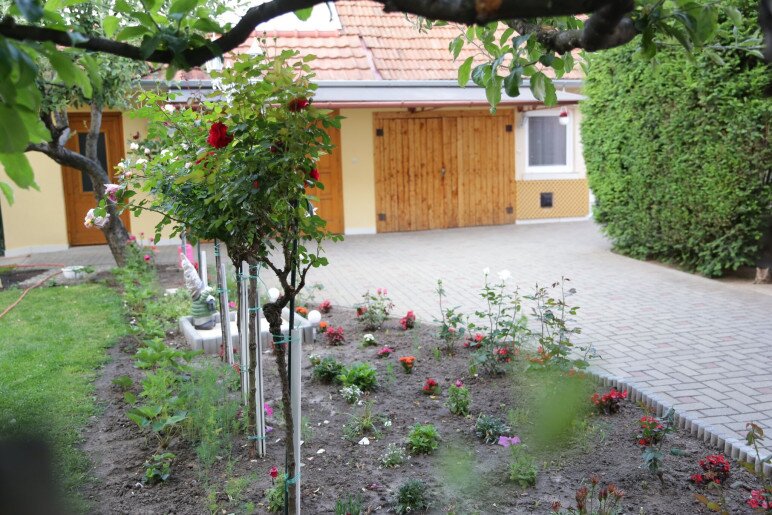 Ildikó Apartman Gyula - 13