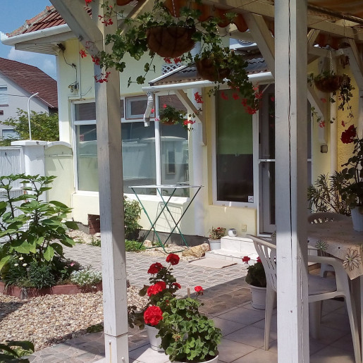 Zöld Sziget Apartman Gyula - 1