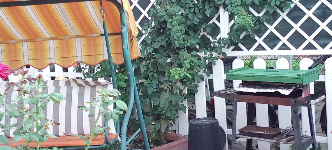 Zöld Sziget Apartman Gyula - 3