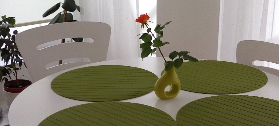 Zöld Sziget Apartman Gyula - 5