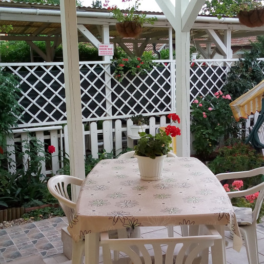 Zöld Sziget Apartman Gyula - 4