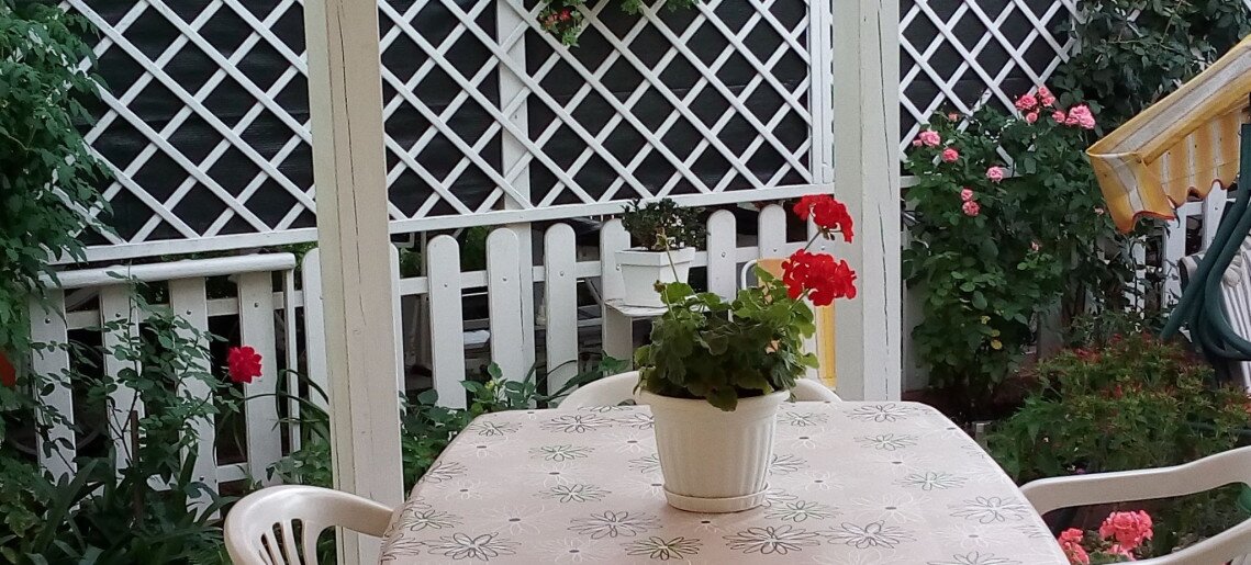 Zöld Sziget Apartman Gyula - 4