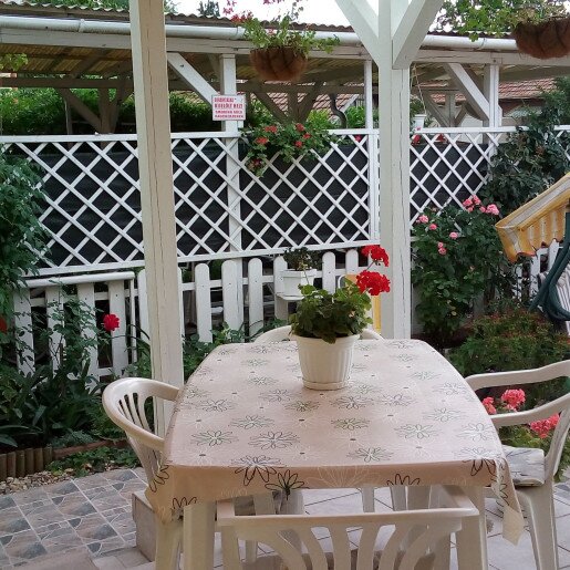 Zöld Sziget Apartman Gyula - 4