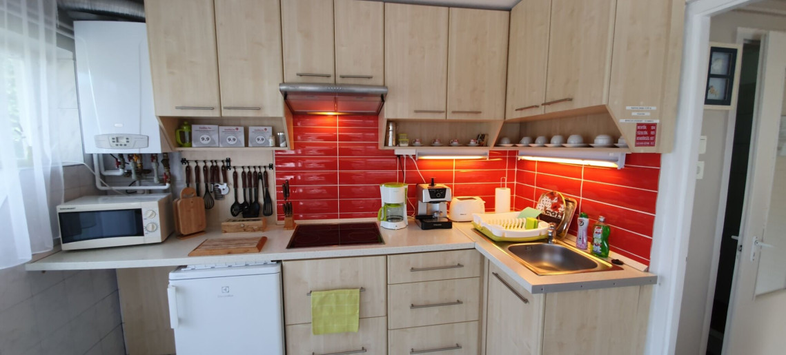 Zöld Sziget Apartman Gyula - 9