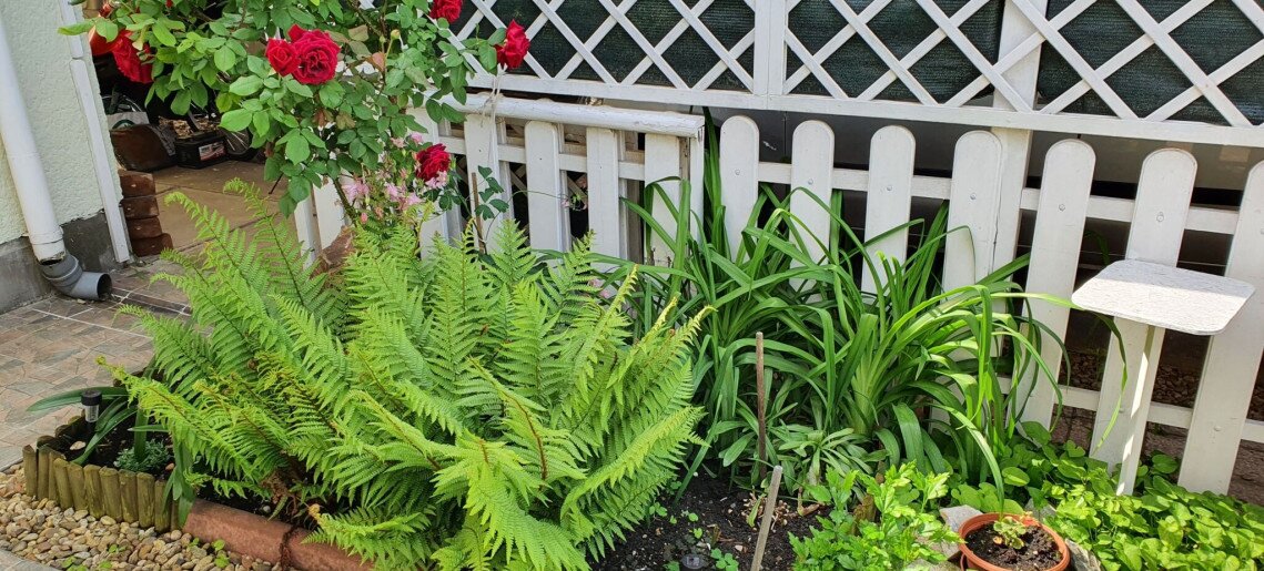 Zöld Sziget Apartman Gyula - 19