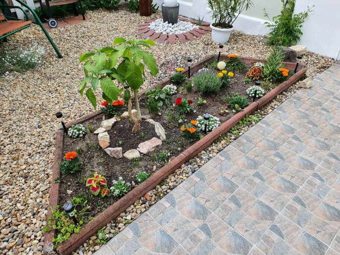 Zöld Sziget Apartman Gyula - 27