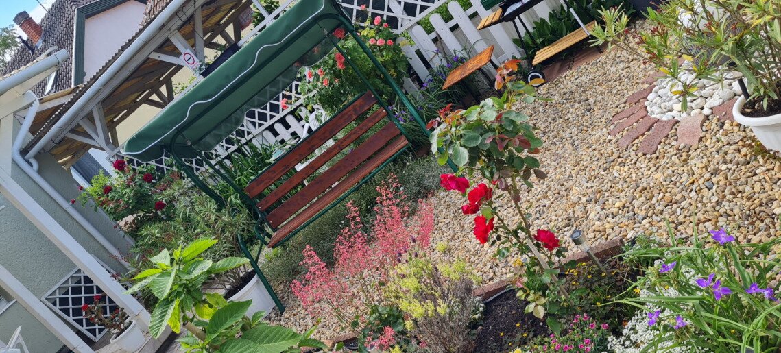 Zöld Sziget Apartman Gyula - 31