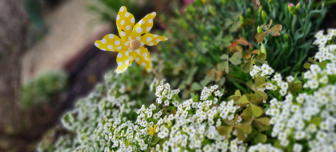 Zöld Sziget Apartman Gyula - 32