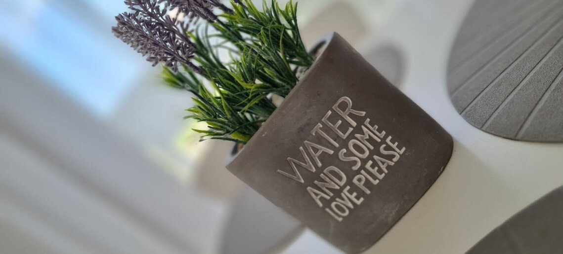 Zöld Sziget Apartman Gyula - 36