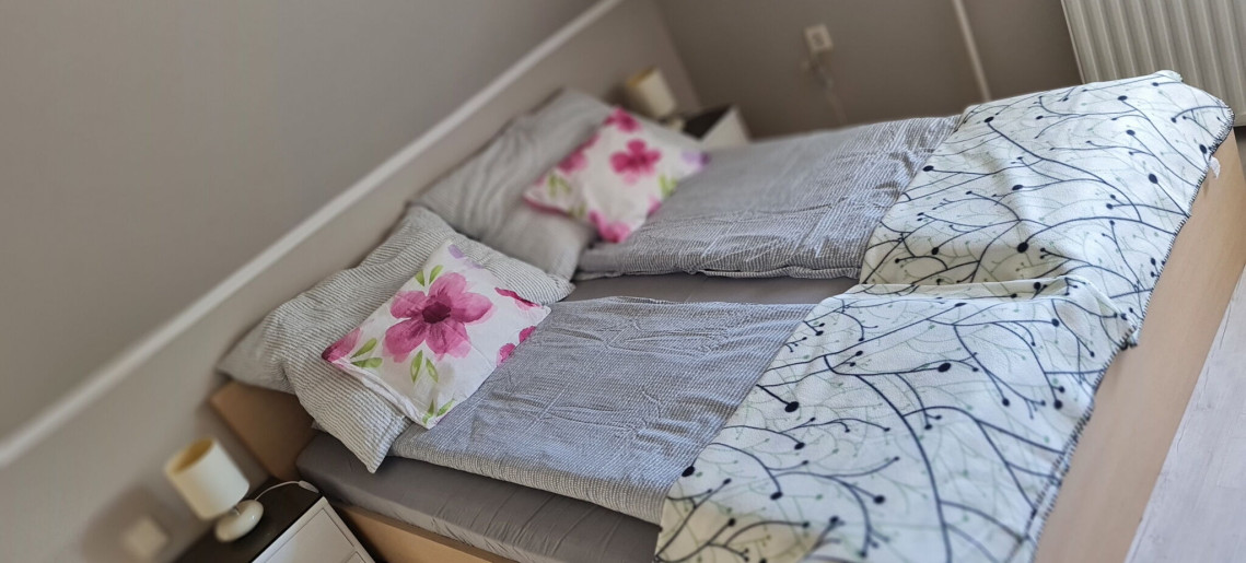 Zöld Sziget Apartman Gyula - 18