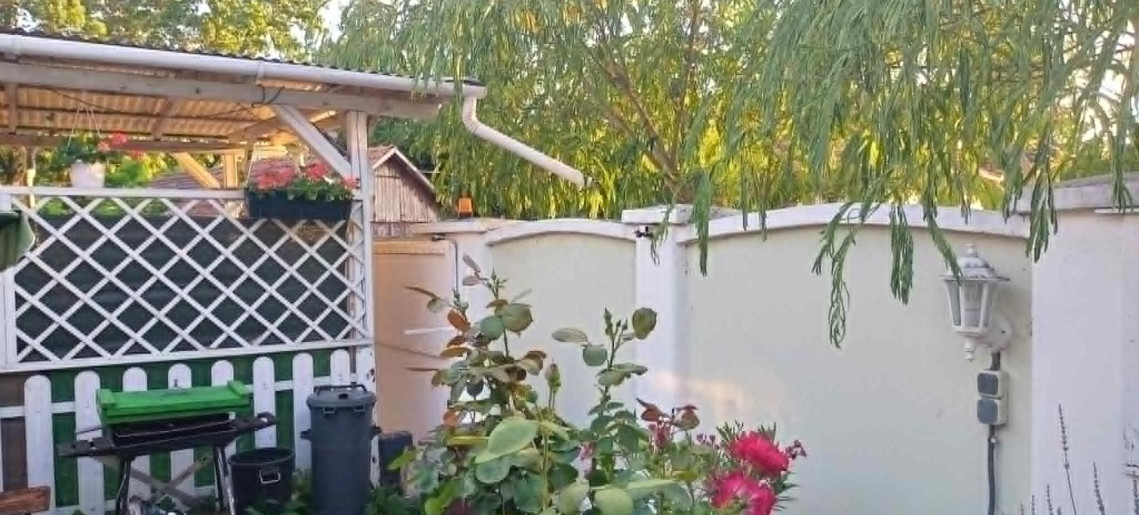 Zöld Sziget Apartman Gyula - 24