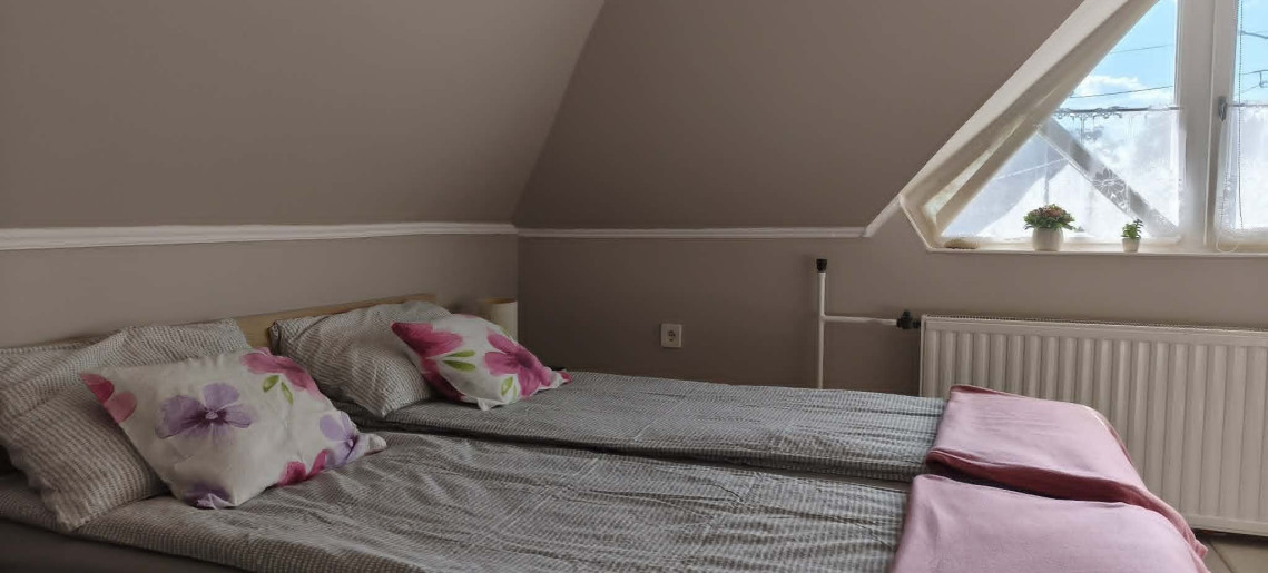 Zöld Sziget Apartman Gyula - 28
