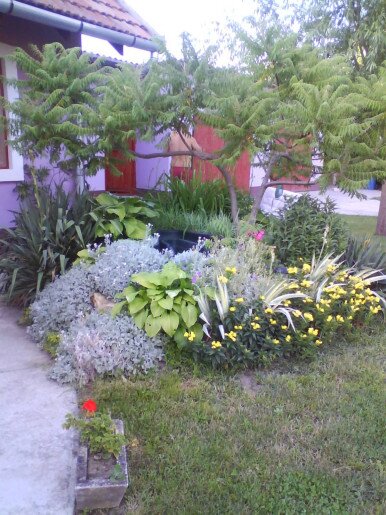 Vigyi Apartman Gyula - 15