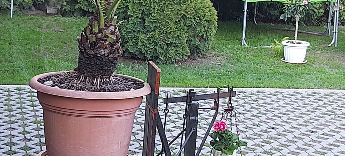 Vigyi Apartman Gyula - 19