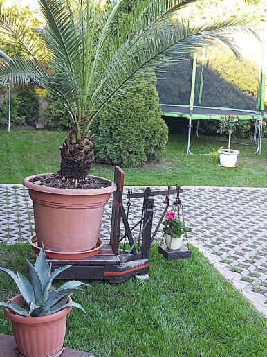 Vigyi Apartman Gyula - 22