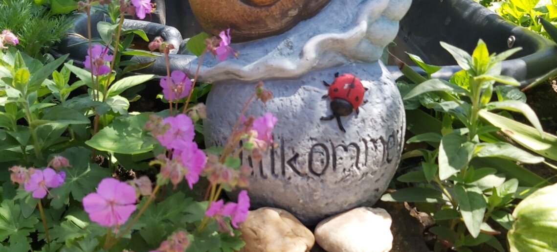 Vigyi Apartman Gyula - 9