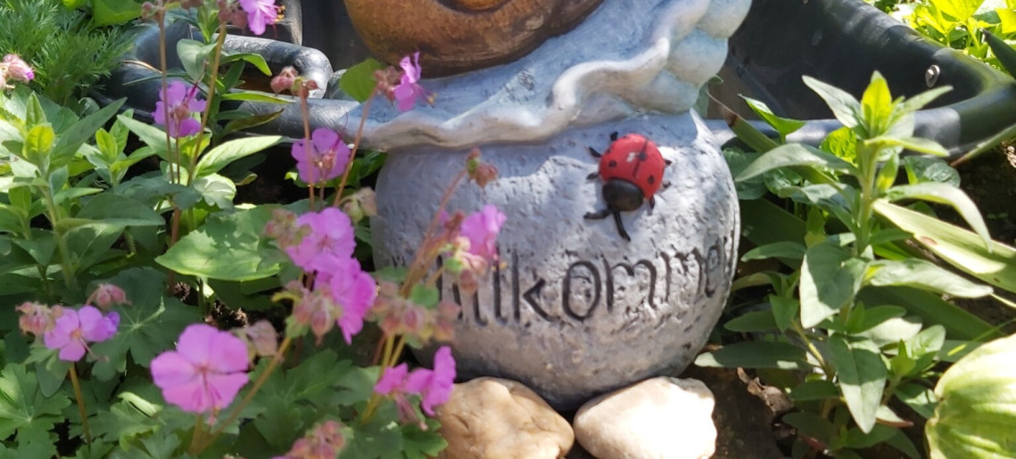 Vigyi Apartman Gyula - 8