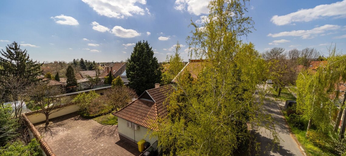 Erzsébet Apartmanház Gyula - 25