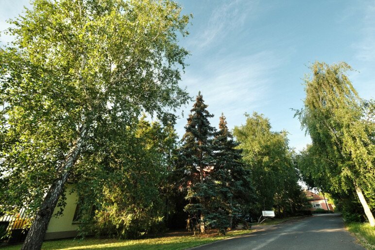 Erzsébet Apartmanház Gyula - 4