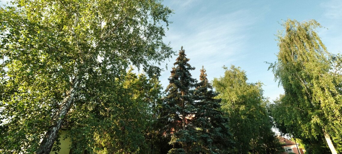 Erzsébet Apartmanház Gyula - 4