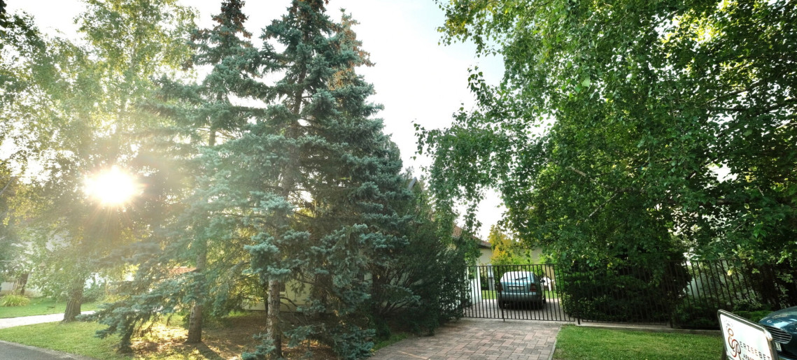 Erzsébet Apartmanház Gyula - 2