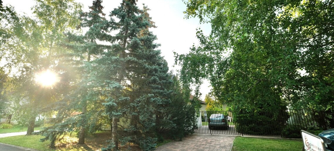 Erzsébet Apartmanház Gyula - 2