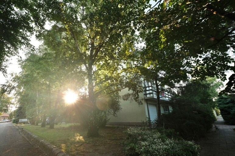 Erzsébet Apartmanház Gyula - 15