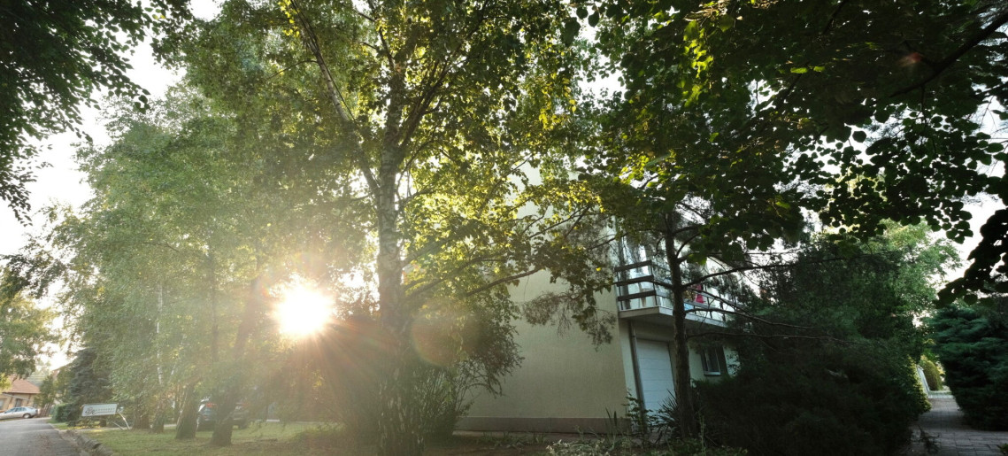 Erzsébet Apartmanház Gyula - 15