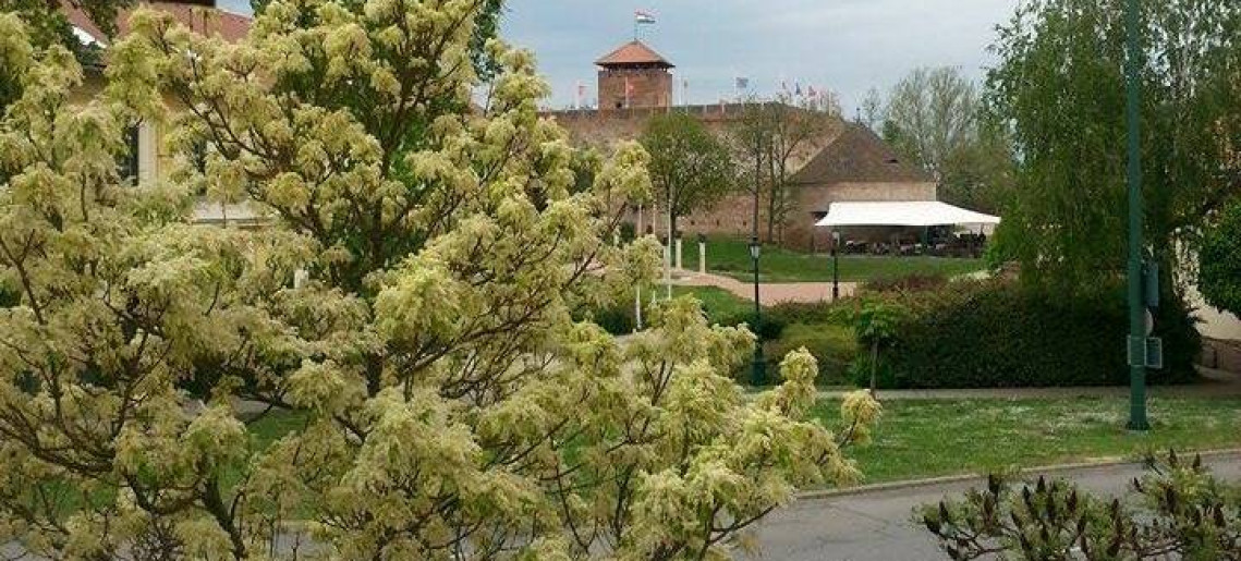 Silver Zafír Apartmanház Gyula - 3