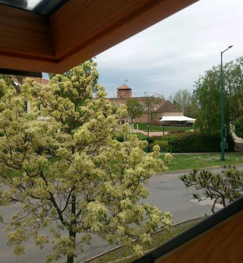 Silver Zafír Apartmanház Gyula - 3