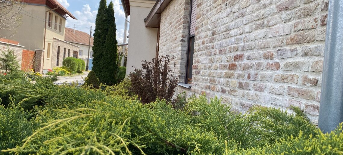 Almafa Apartman Gyula - 5